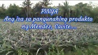produkto ng cavite|Kabite .